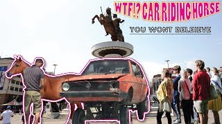 Follow Me - CAR RIDING HORSE - You wont Beleieve (1080HD VIDEO)