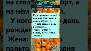 У кого ДНЮХА #анекдоты #приколы #смех #радость #шортс #шутки #юмор#рекомендации