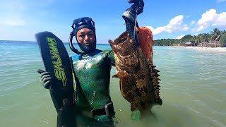 Spearfishing Tiger Grouper | Wisata Mandala Ria Beach