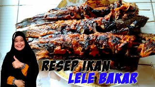 Resep dan Cara Memasak Ikan Lele Bakar (Dengan Bumbu Rahasia Tidak Amis dan Spesial Kampar)