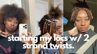 starting my locs with two strand twists *it took me 24 hours*