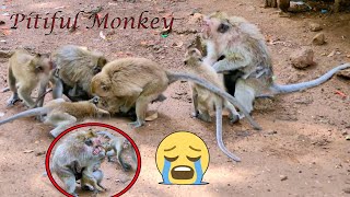 Screaming crying!! Monkey Rana and Rany punish for the monkey does not know anything