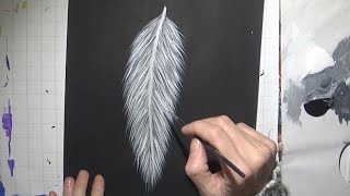 Painting a Feather with Grey & White Acrylic Paint on a Black Background Painting