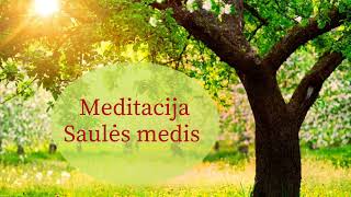 Saulės Medžio meditacija