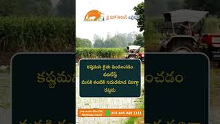 Farmer Quote | Motivational quotes Telugu II Inspirational Quotes II Telugu Quotes