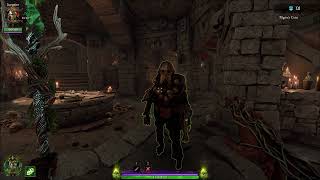 [Vermintide 2 Chaos Wastes] Bardin chaos mutation.