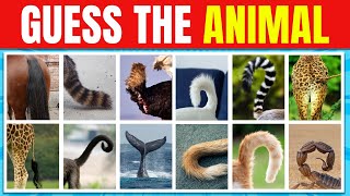 Guess the Animal Tail! Quiz