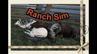 Horse breeding 🤠 Ranch Sim