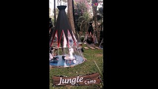 JUNGLE CAMP TRAWAS #shorts