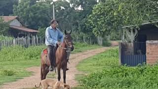 Sebastião 81 anos a cavalo