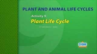 Plant and Animal Life Cycles - Activity 9: Plant Life Cycle