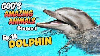 Fun Facts for Kids about Dolphins | God's Amazing Animals (S1 Ep13)