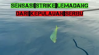 SENSASI STRIKE LEMADANG DARI KEPULAUAN SERIBU