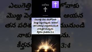 #gsvihari Today Bible Verses 🙇🏻‍♀️🙇🏻✝️