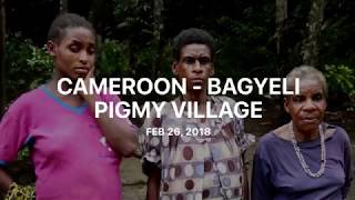 Cameroon  - Bagyeli Pigmy Village