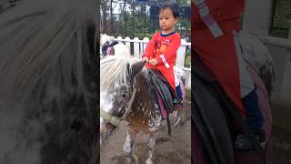 dede naik kuda poni #naikkuda #kudaponi #lembangparkandzoo