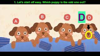 Find the Puppy Quiz | Video Quiz Star | 20 Questions with Answers 100% Score