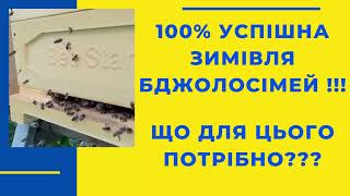 100% успішна зимівля бджолосімей. Що для цього потрібно?