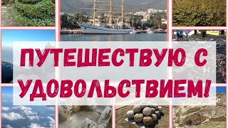 Сосновые лесопосадки около Биробиджана. Красота да и только! Сколько цветов!