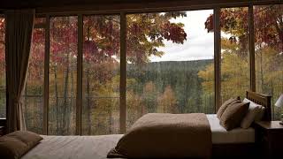 Cozy Bedroom Ambience   Rain on Window   Autumn