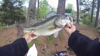 Spring Break Bass Fishing in Georgia (Bed Fishing for GIANTS!)