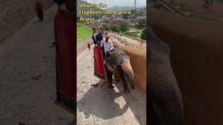 Amber Fort elephant ride timings are from 7:30 am to 12:30 pm and price will be Rs 2,500 per ride