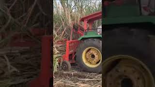 Sugarcane Harvester Cut, clean, Billet and load all on One machine