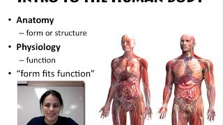 Intro to the Human Body (Unit 1 - Video 1)