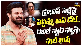 ప్రభాస్ పెళ్లిపై పెద్దమ్మ అప్ డేట్.. రెబల్ స్టార్ ఫ్యాన్స్  ఖుషీ | Shyamala About Prabhas Marriage