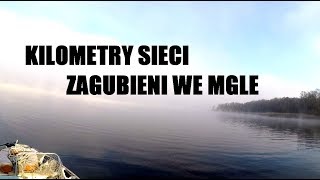 Szczupaki spomiędzy sieci rybackich,  zgubiłem się we mgle