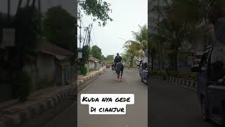 kuda nya besar banget di jalan orang cianjur pasti sudah tau