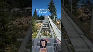 Alpin Coaster la Cheile Gradistei