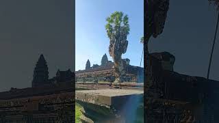 Angkor Wat Temple #angkorwat #siemreap #cambodia