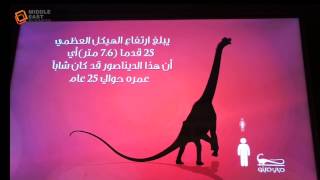 Dinosaurs in Dubai Mall  ديناصور في دبي مول