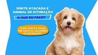 Rinite Alérgica e ANIMAIS de estimação (Cão e Gato) [TRATAR EM CASA]