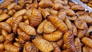 FRIED WORMS, INSECTS, BUGS STREET FOOD