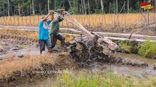 Traktor Sawah Pindah Lokasi Garap Petak Terakhir