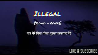 Illegal Song Lyrics [Slowed + Reverb] | Dhanda Nyoliwala | Romeoz | Tranding Song | Lofi Boy 🎶