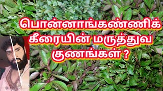 பொன்னாங்கண்ணிக் கீரையின் மருத்துவ குணங்கள் ? ஓம் நமசிவாய போற்றி போற்றி ஓம் வளை அம்மா போற்றி போற்றி