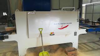 MJF142S-2250 Plank Multi Rip Saw Machine