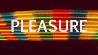 Blondfire - Pleasure (Official Music Video)