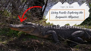 Living Fossils: Exploring the Enigmatic Alligators