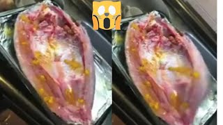 WTF... this fish still alive.. even in the oven 😂