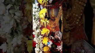 Navratri vibes at home: Pure devotion and divine energy!#subscribe ##viralvideo #subscribe