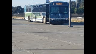 Westcat Gillig Phantom 112 on JL (THROATY EXHAUST)