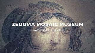 Zeugma Mosaic Museum: visita al museo del mosaico di Gaziantep 🇹🇷