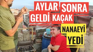 AYLAR SONRA KÜMESE GELDİ NANAEYİ YEDİ