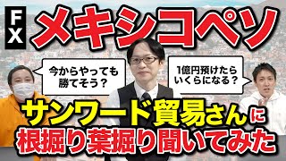 メキシコペソって怪しくないの？をサンワード貿易の担当者さんに聞いてみた