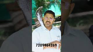 नाग काटने के बाद क्या करे ? #shorts #snake #youtubeshorts