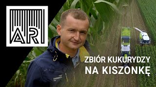 Zbiór kukurydzy na kiszonkę. Jak to zrobić? || AR #105